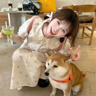 寂寞是条狗